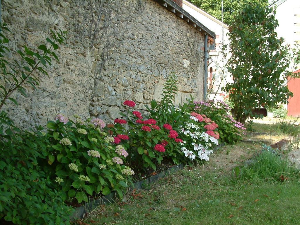 Bed and Breakfast Chateau Du Beugnon à Tigné Extérieur photo